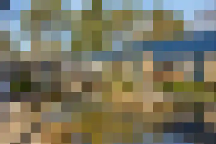 Prins Constantijnlaan 8 't Harde thumbnail 67