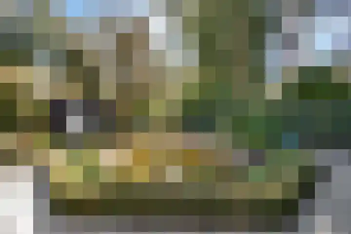 Prins Constantijnlaan 8 't Harde thumbnail 68