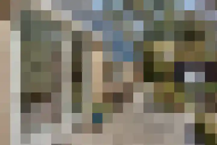 Prins Constantijnlaan 8 't Harde thumbnail 69