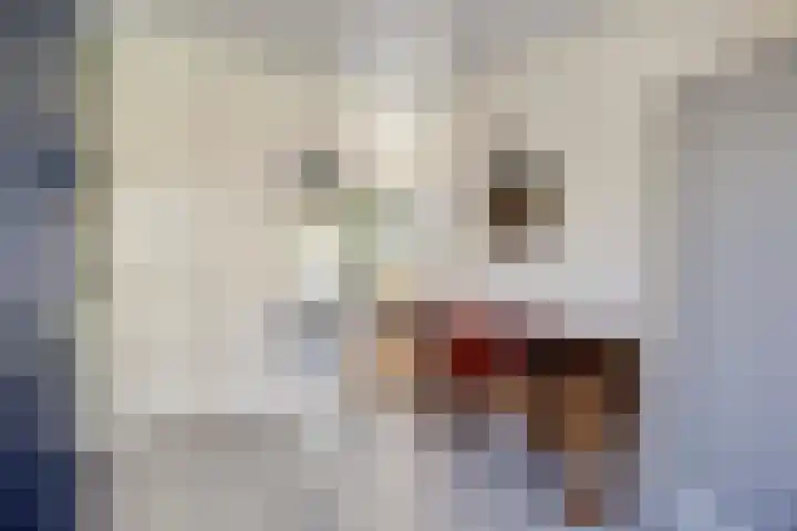 Prins Constantijnlaan 8 't Harde thumbnail 7