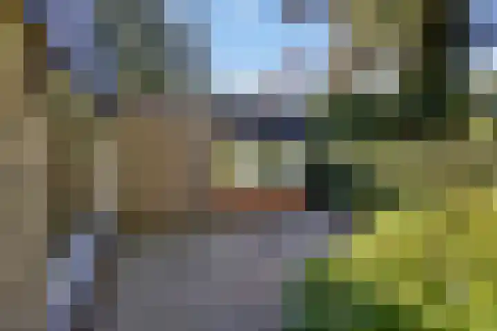 Prins Constantijnlaan 8 't Harde thumbnail 70