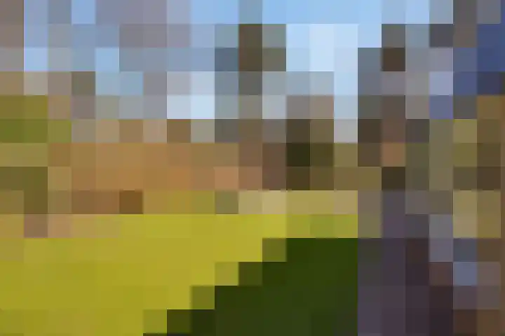 Prins Constantijnlaan 8 't Harde thumbnail 71