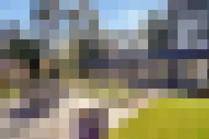Prins Constantijnlaan 8 't Harde thumbnail 73