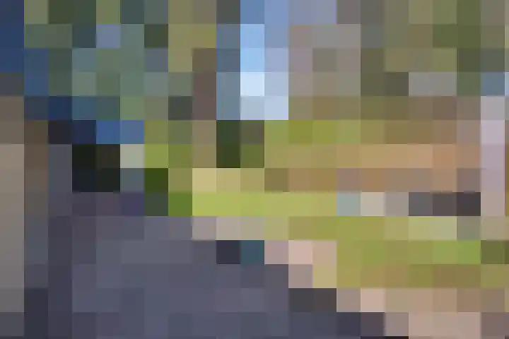 Prins Constantijnlaan 8 't Harde thumbnail 74