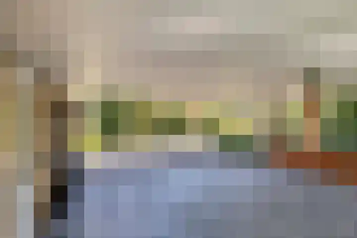 Prins Constantijnlaan 8 't Harde thumbnail 76