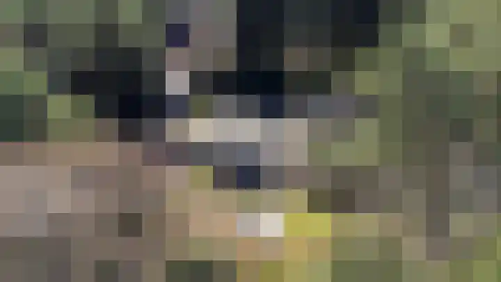 Prins Constantijnlaan 8 't Harde thumbnail 77