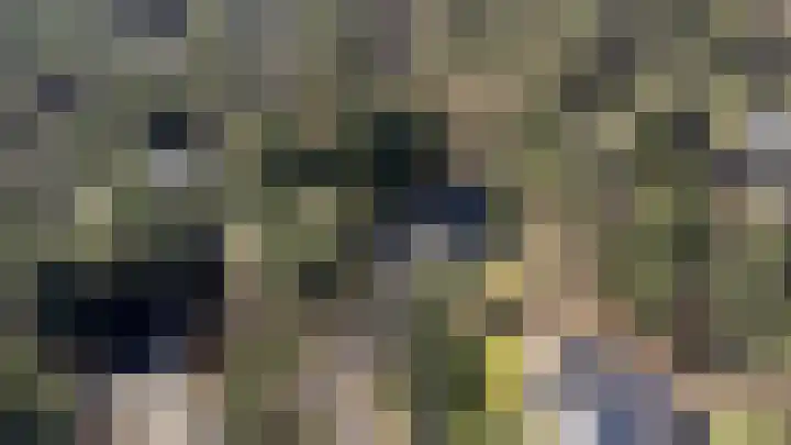 Prins Constantijnlaan 8 't Harde thumbnail 81