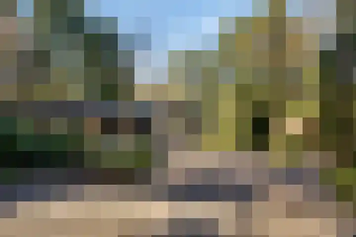 Prins Constantijnlaan 8 't Harde thumbnail 83