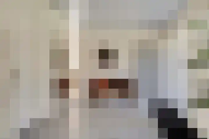 Prins Constantijnlaan 8 't Harde thumbnail 9