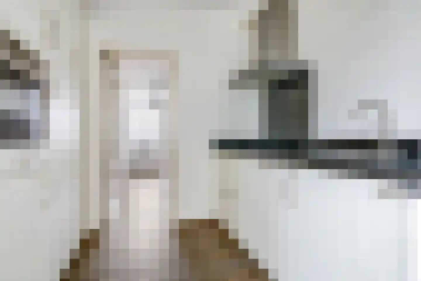 Prins Constantijnstraat 11 Wehl thumbnail 14