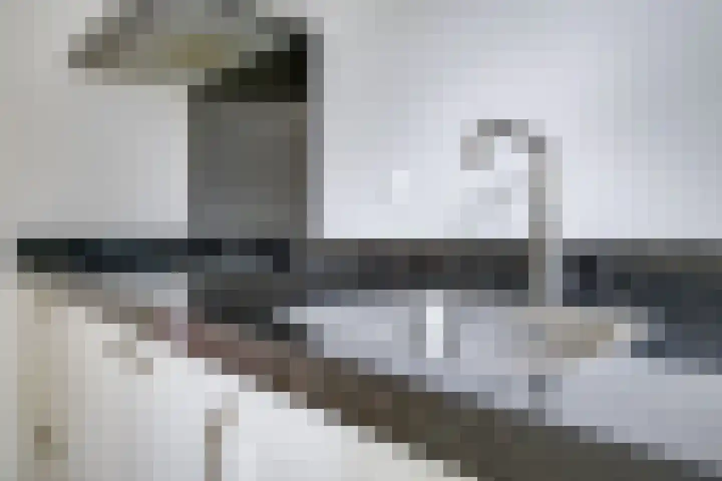 Prins Constantijnstraat 11 Wehl thumbnail 15