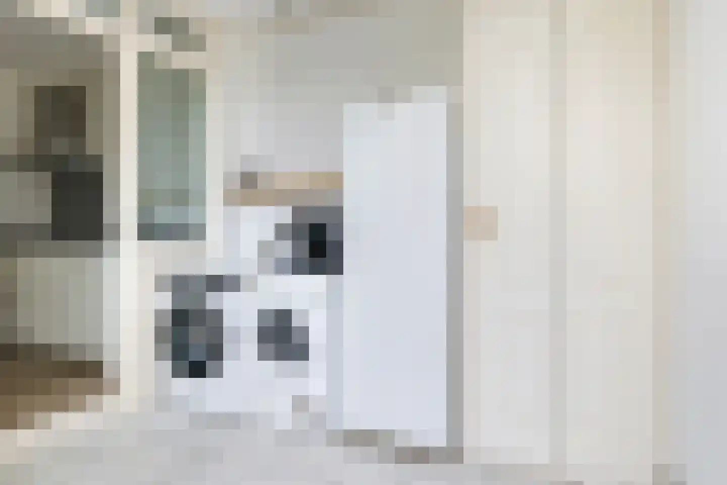 Prins Constantijnstraat 11 Wehl thumbnail 19