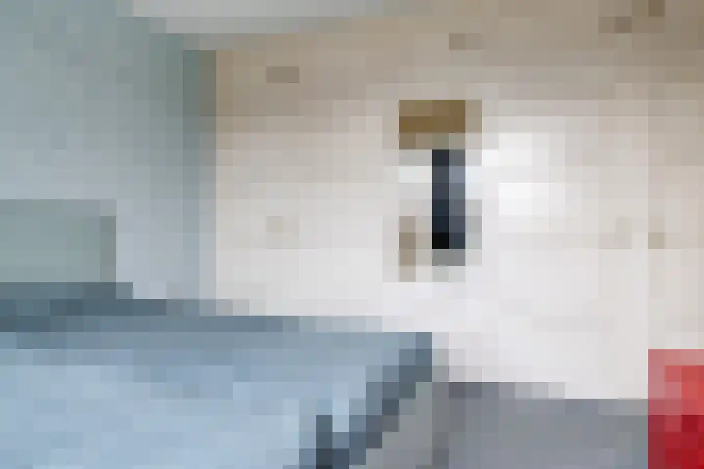 Prins Constantijnstraat 11 Wehl thumbnail 23