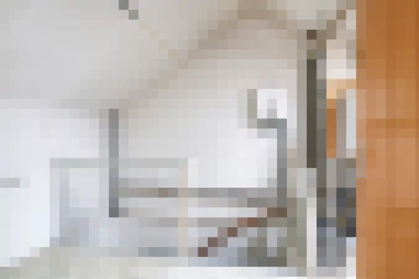 Prins Constantijnstraat 11 Wehl thumbnail 32