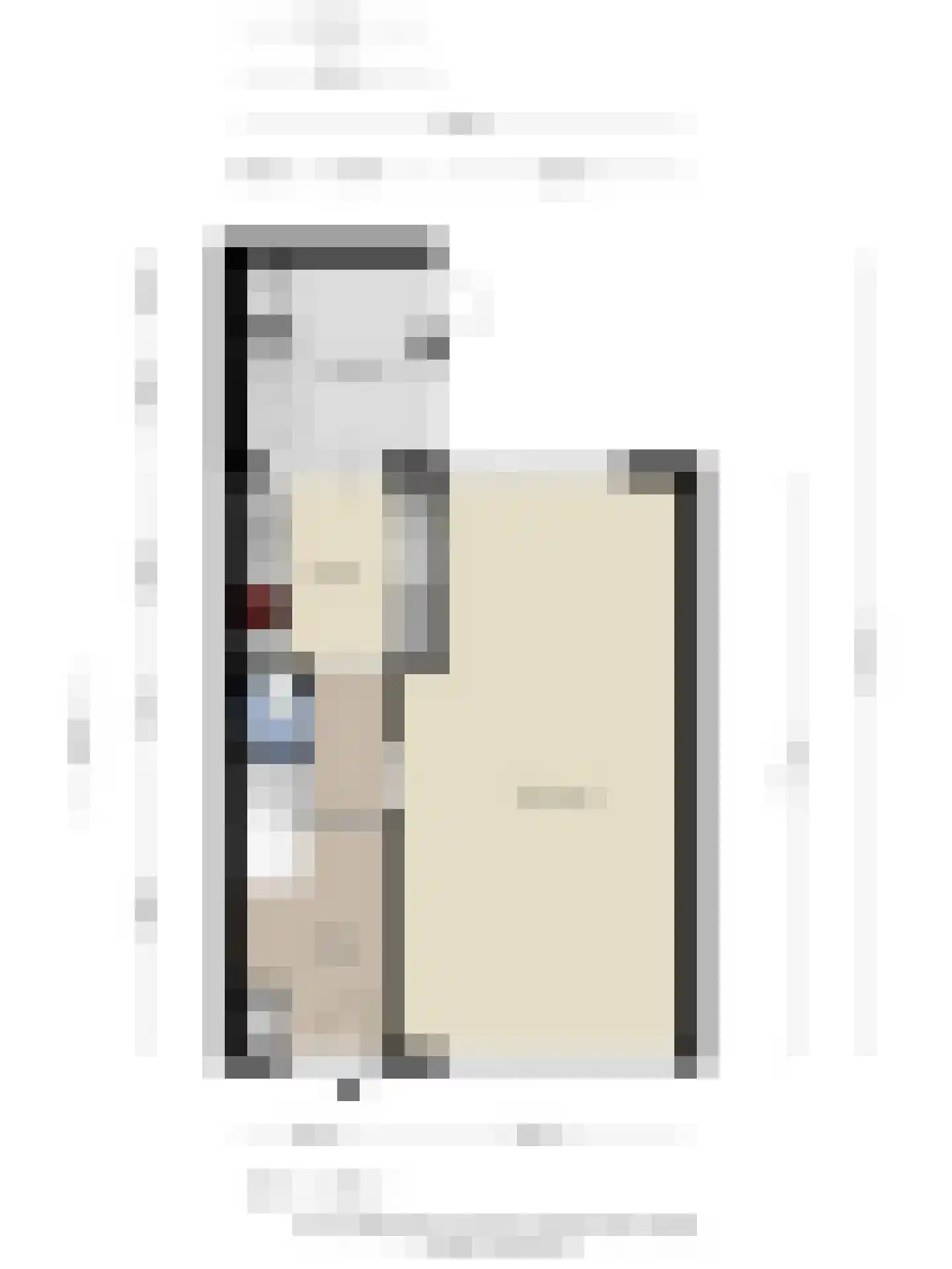 Prins Constantijnstraat 11 Wehl thumbnail 48
