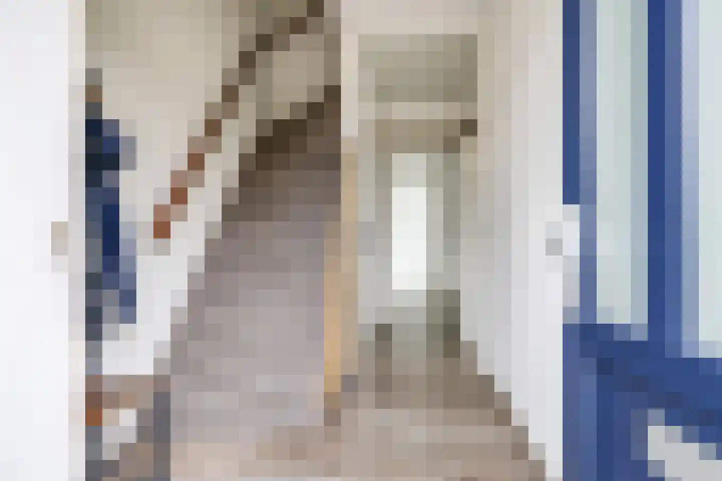 Prins Constantijnstraat 11 Wehl thumbnail 6