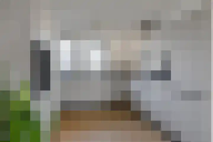 Prins Constantijnstraat 18 Julianadorp thumbnail 10