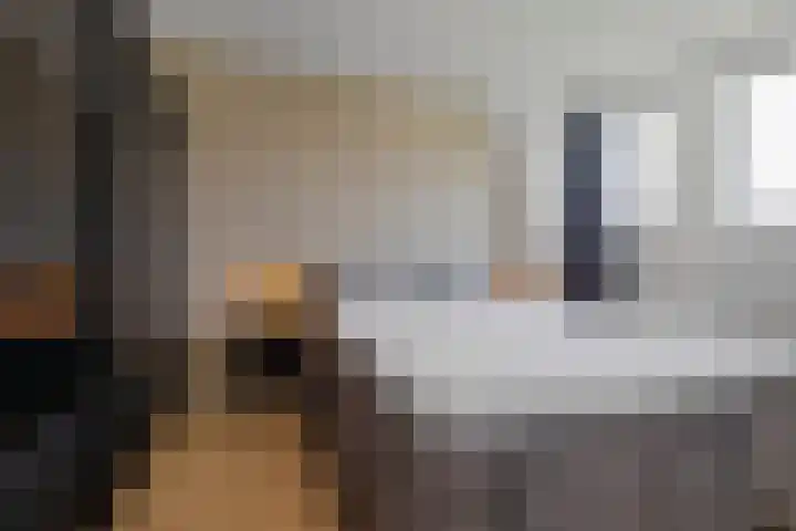 Prins Constantijnstraat 18 Julianadorp thumbnail 16