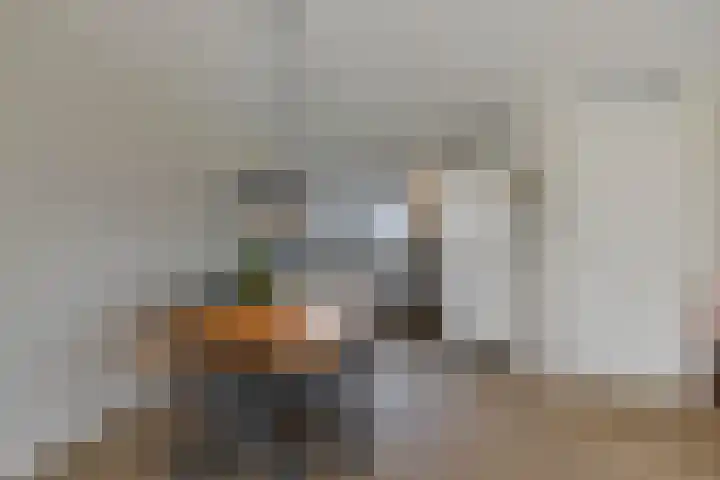 Prins Constantijnstraat 18 Julianadorp thumbnail 9