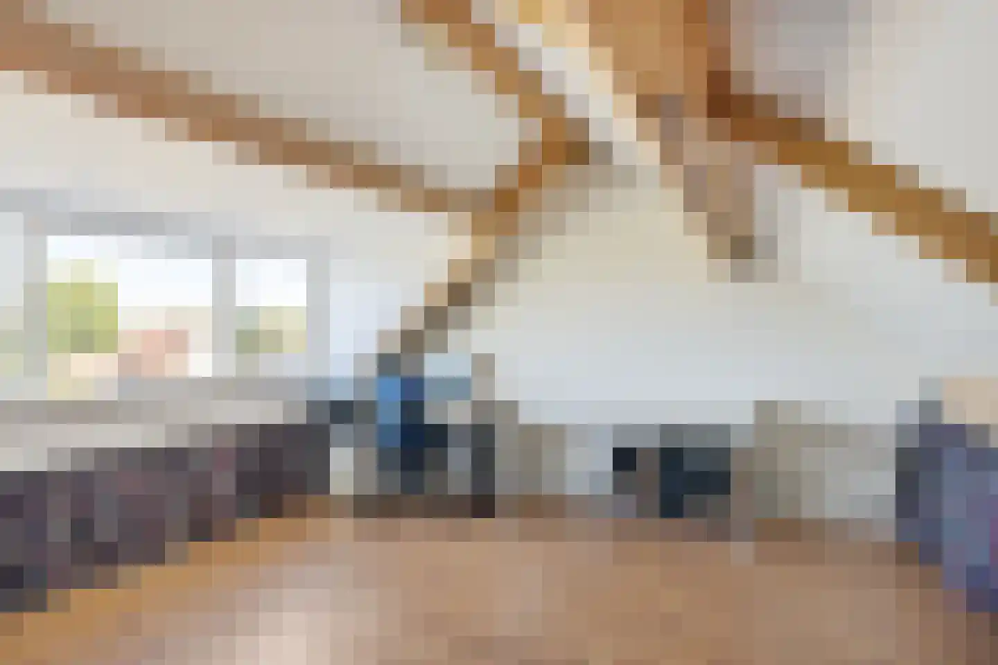 Prins Constantijnstraat 28 Beesd thumbnail 33