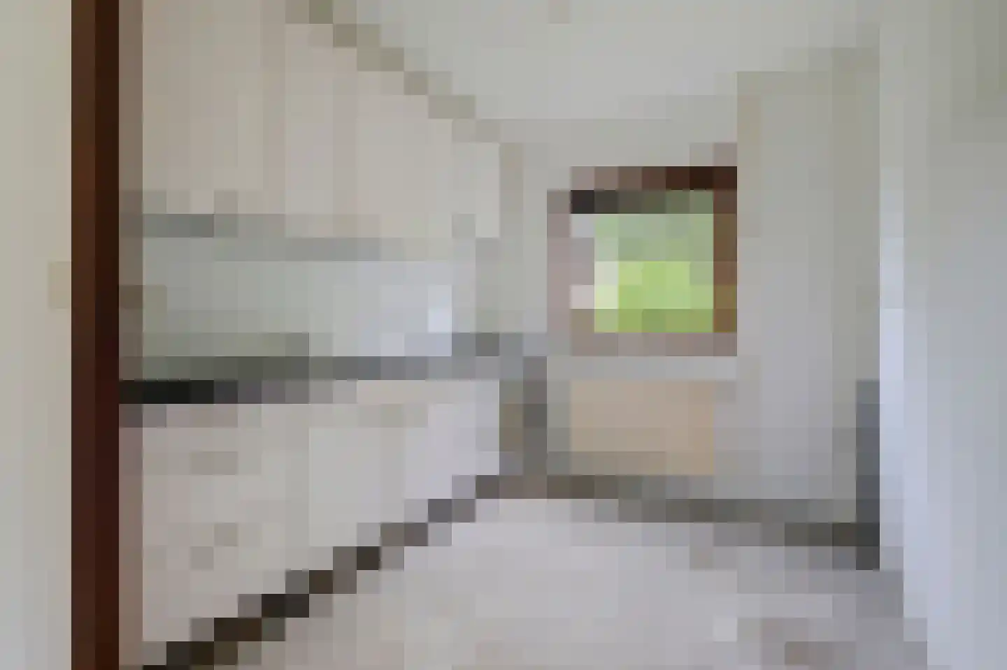 Prins Constantijnstraat 3 Terborg thumbnail 12