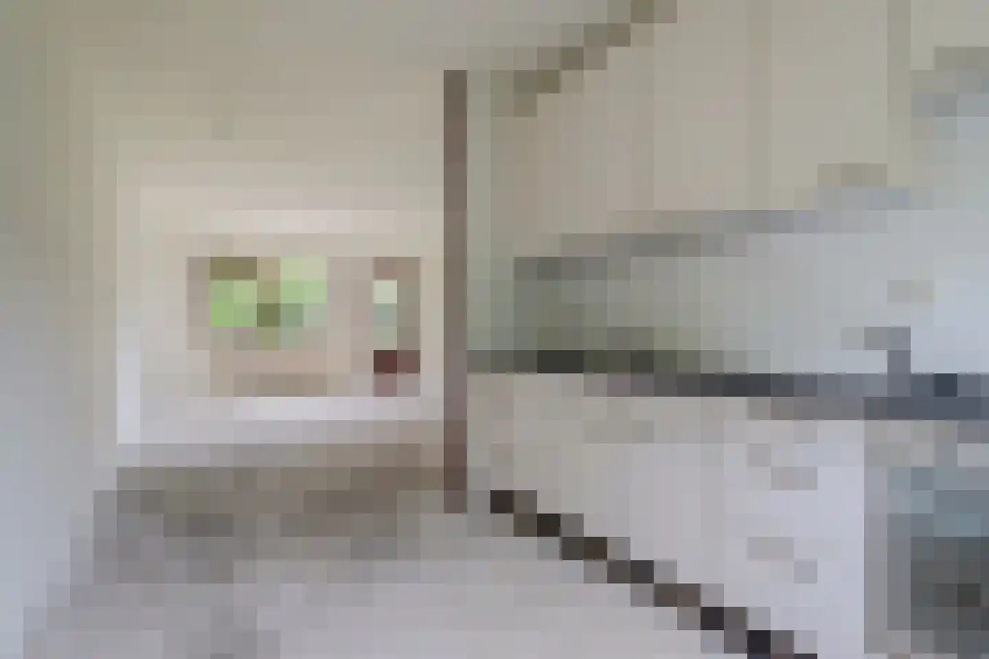 Prins Constantijnstraat 3 Terborg thumbnail 13