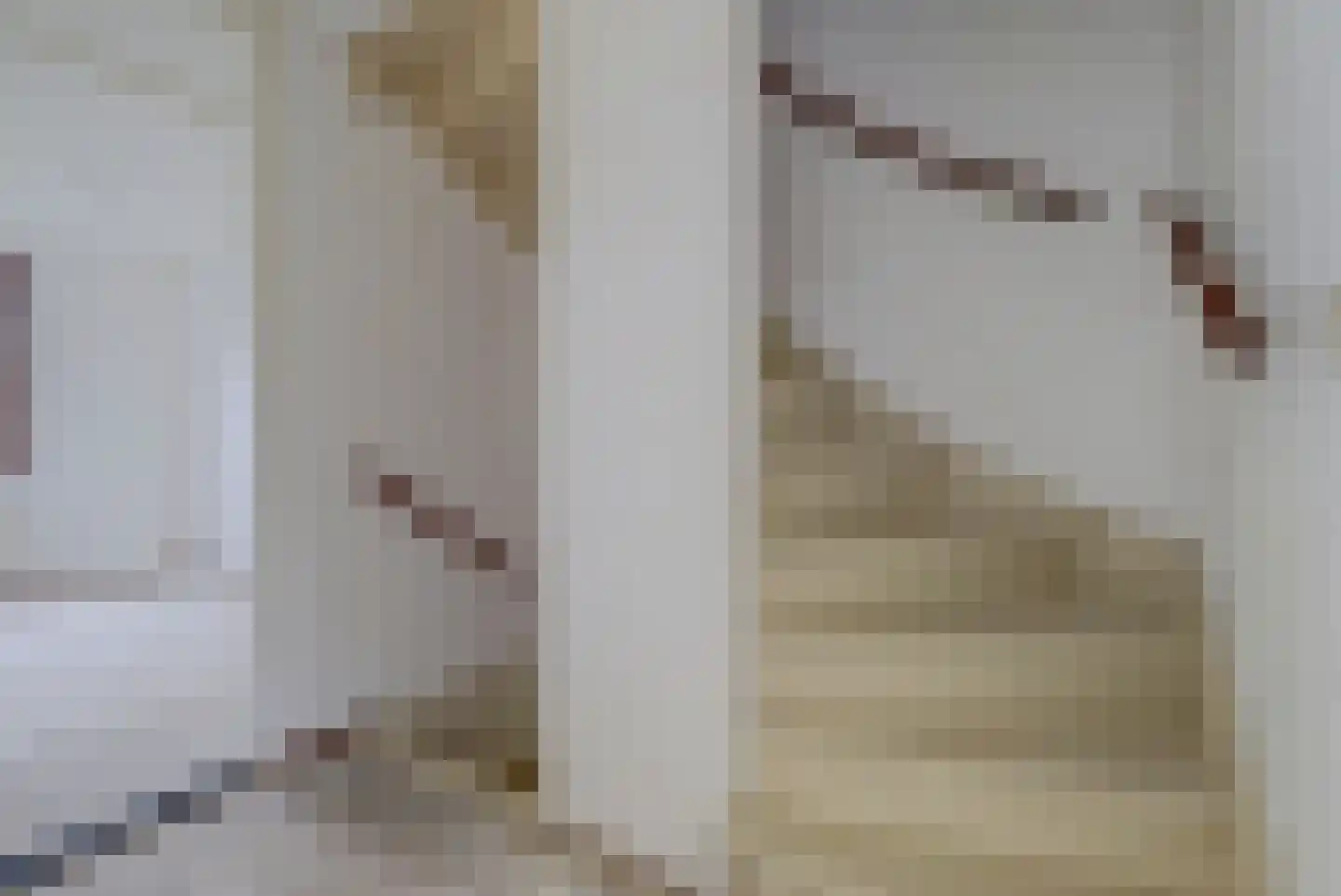 Prins Constantijnstraat 3 Terborg thumbnail 17