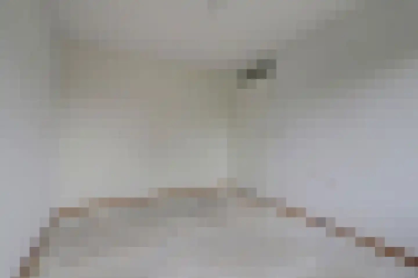 Prins Constantijnstraat 3 Terborg thumbnail 21