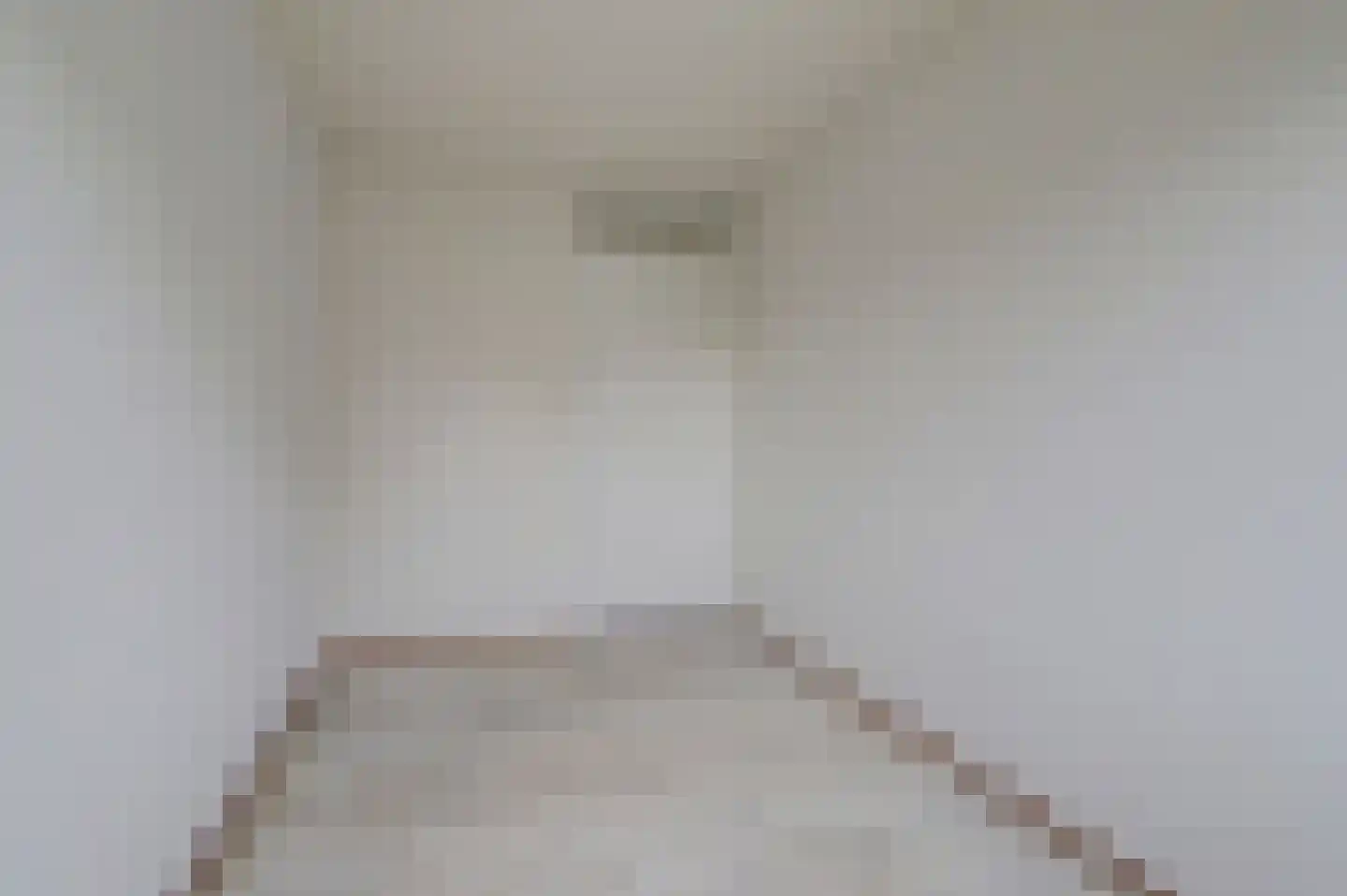 Prins Constantijnstraat 3 Terborg thumbnail 23