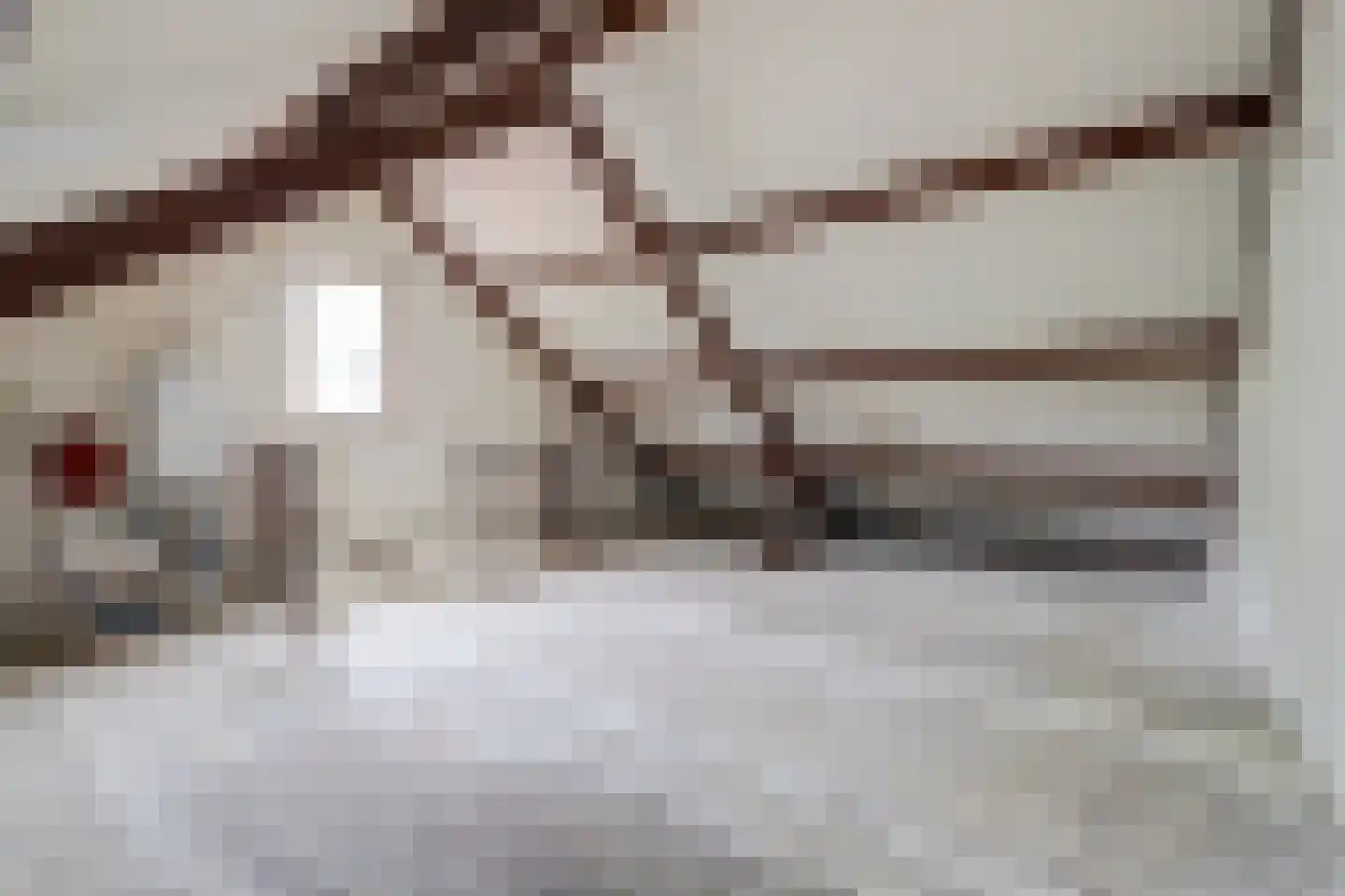 Prins Constantijnstraat 3 Terborg thumbnail 27