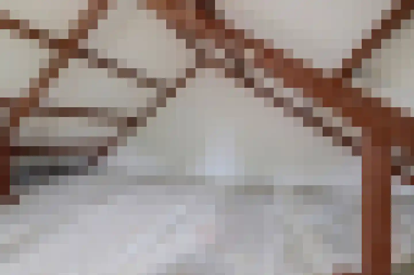 Prins Constantijnstraat 3 Terborg thumbnail 28