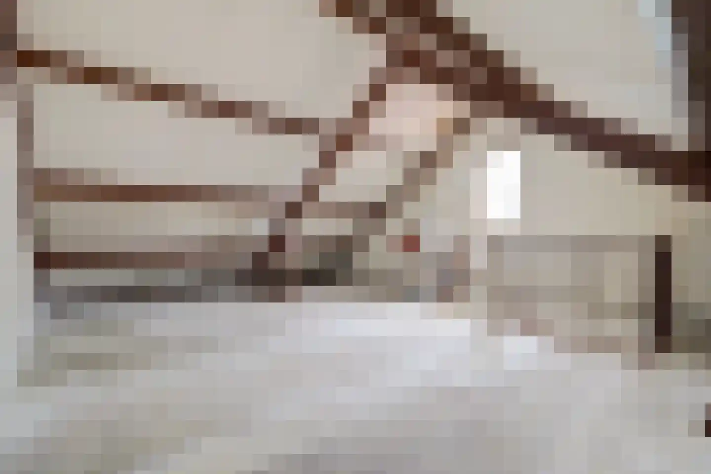 Prins Constantijnstraat 3 Terborg thumbnail 29