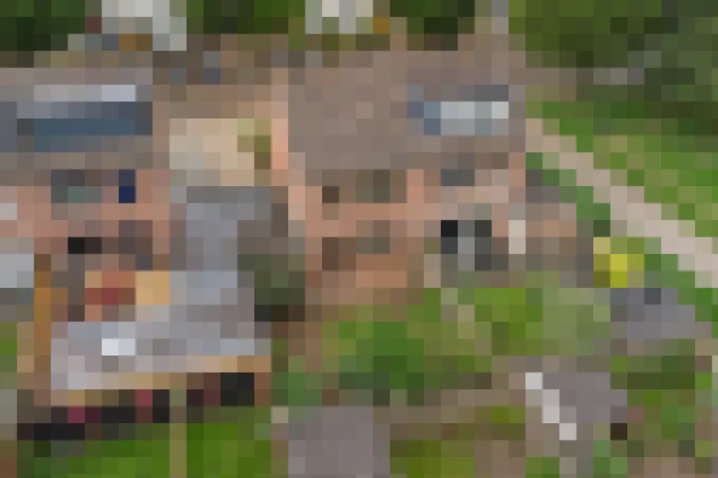 Prins Constantijnstraat 3 Terborg thumbnail 37