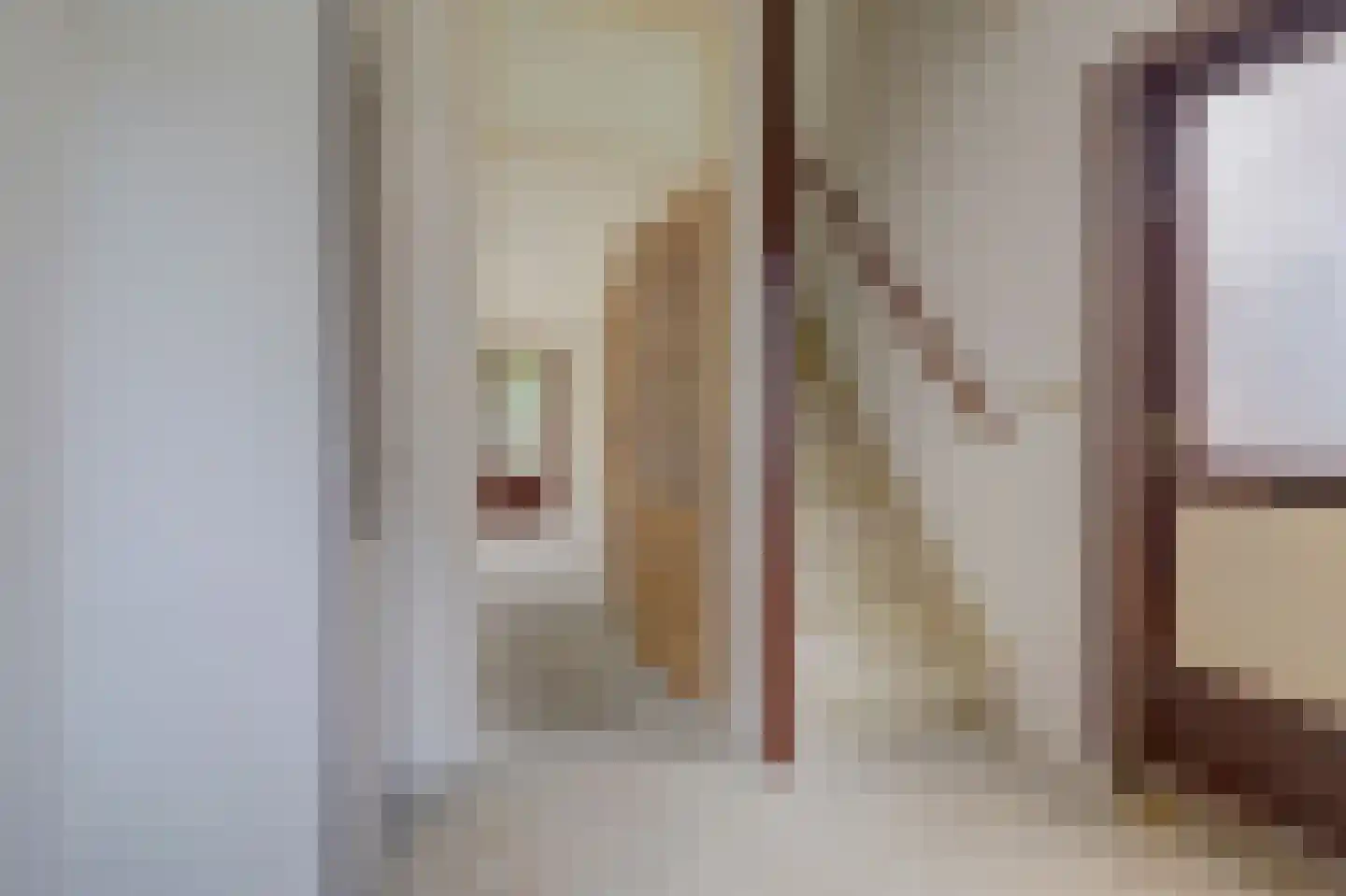 Prins Constantijnstraat 3 Terborg thumbnail 4