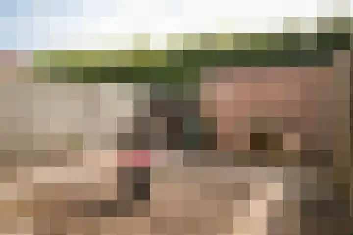 Prins Constantijnstraat 33 Beesd thumbnail 86