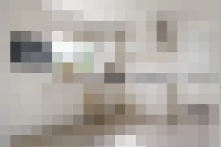 Prins Constantijnstraat 4 Waarder thumbnail 25