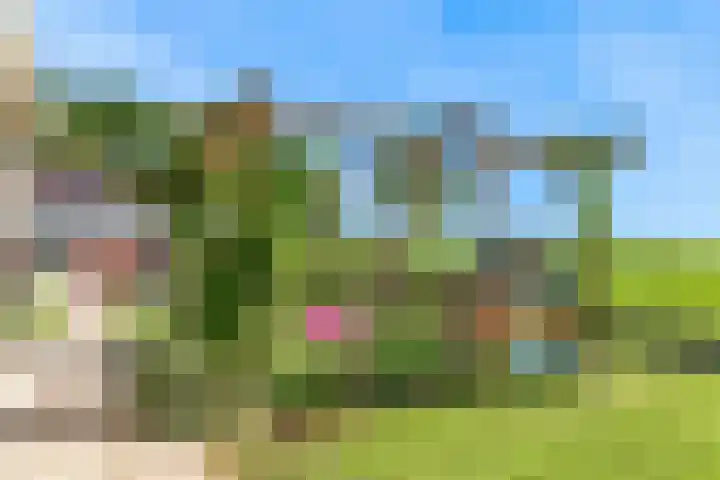 Prins Constantijnstraat 4 Waarder thumbnail 43