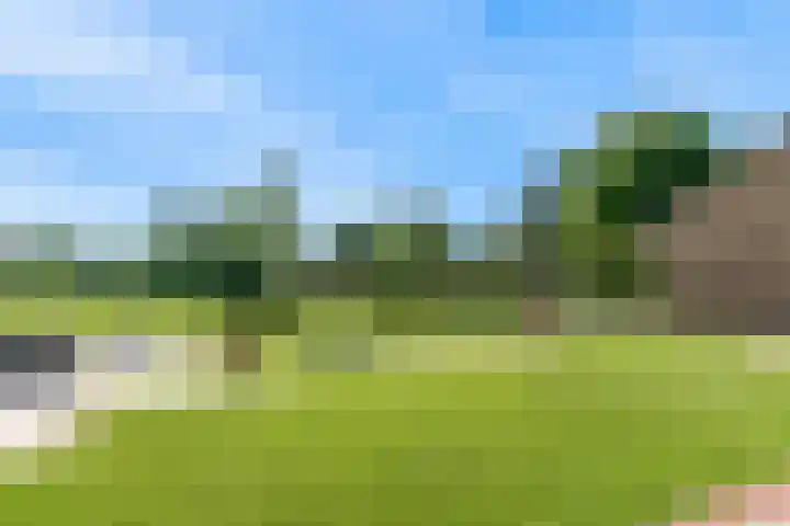 Prins Constantijnstraat 4 Waarder thumbnail 46