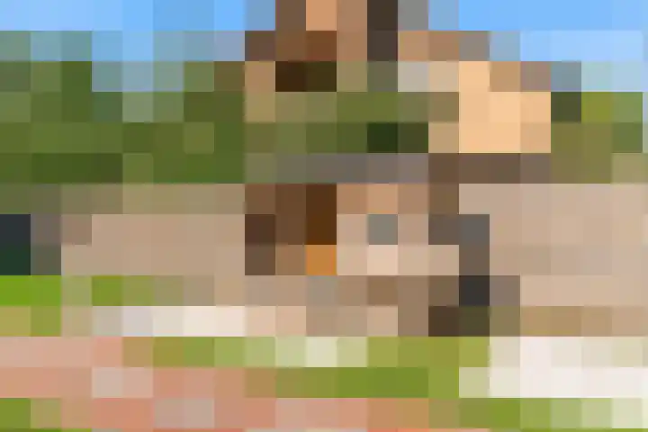 Prins Constantijnstraat 4 Waarder thumbnail 69