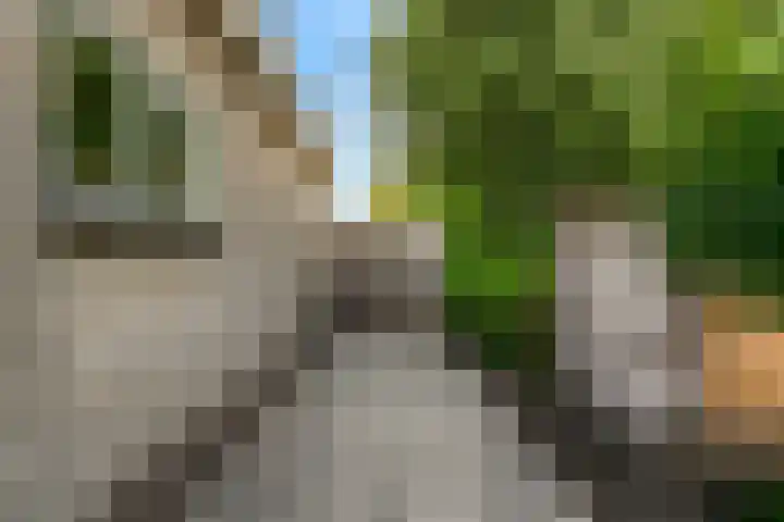 Prins Constantijnstraat 4 Waarder thumbnail 81