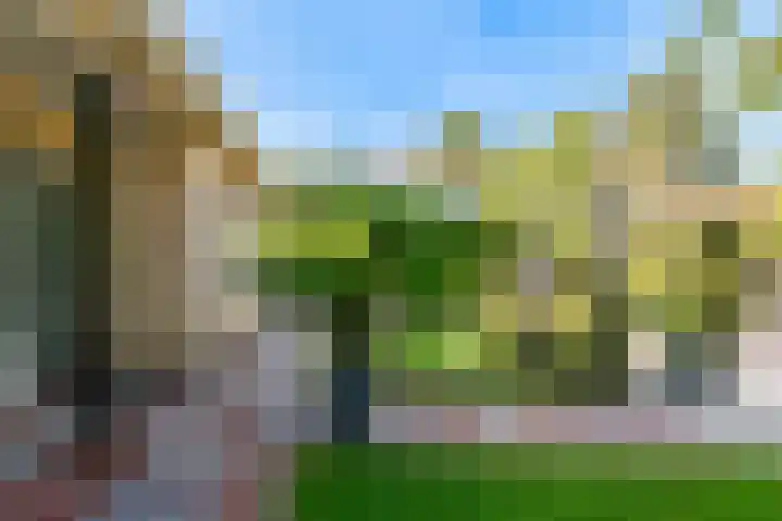 Prins Constantijnstraat 4 Waarder thumbnail 9