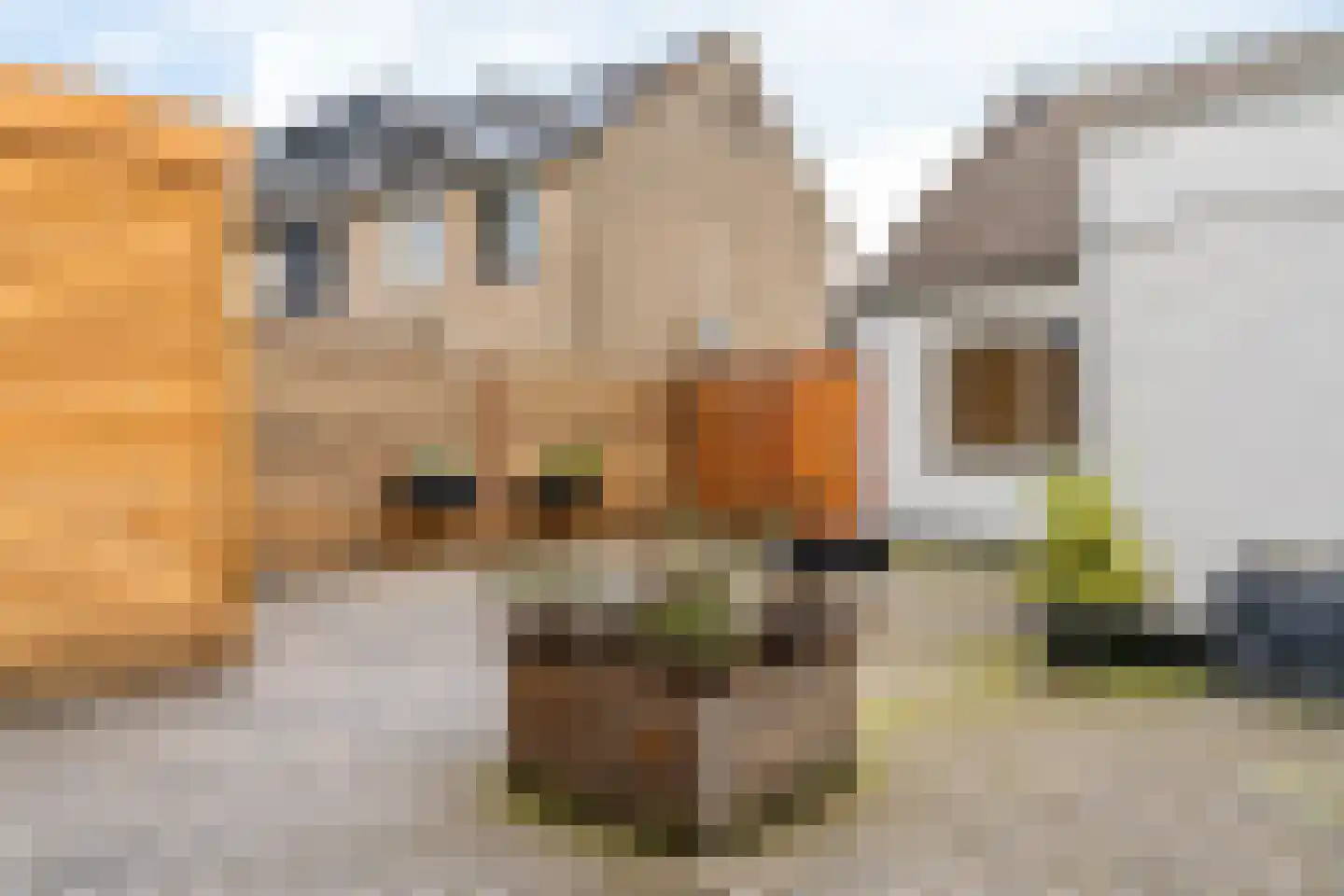 Prins Constantijnstraat 52 Beesd thumbnail 26