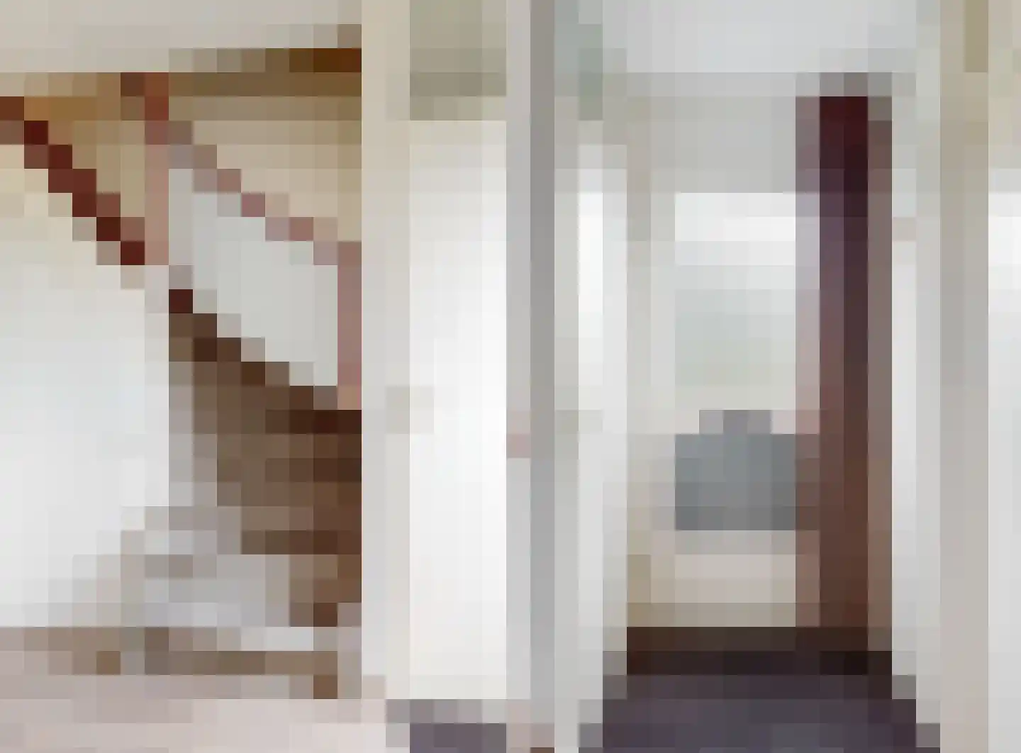 Prins Constantijnstraat 52 Beesd thumbnail 5