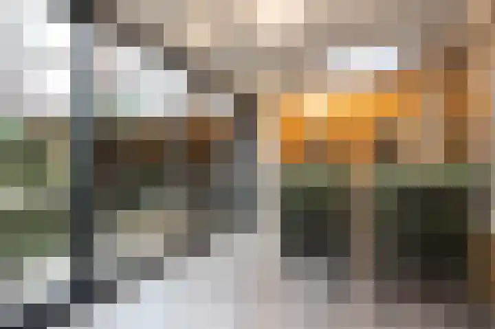 Prins Constantijnstraat 57 Middelharnis thumbnail 18