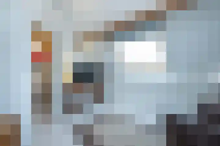 Prins Constantijnstraat 57 Middelharnis thumbnail 31
