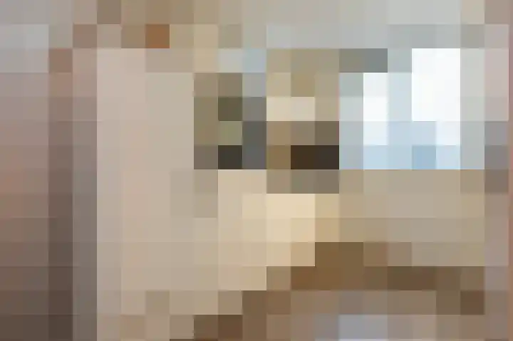 Prins Constantijnstraat 57 Middelharnis thumbnail 7