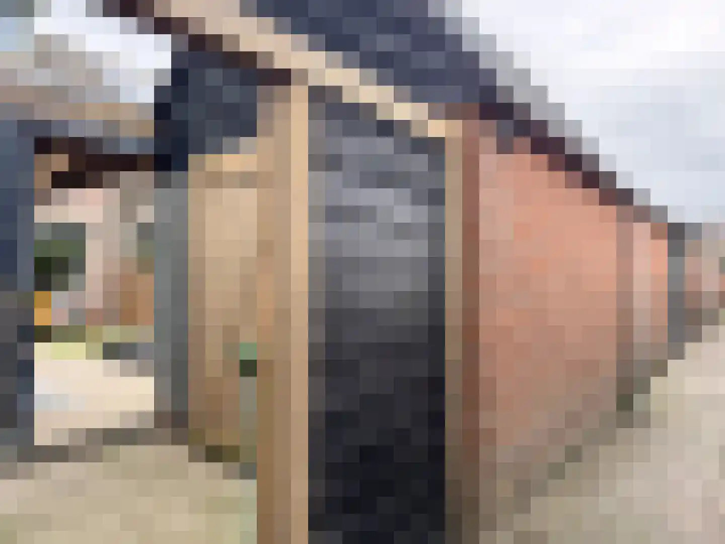 Prins Constantijnstraat 6 Genemuiden thumbnail 23