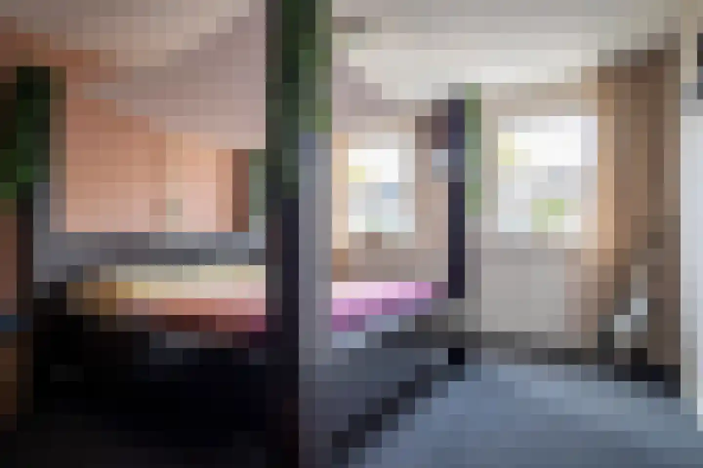 Prins Constantijnstraat 6 Genemuiden thumbnail 31