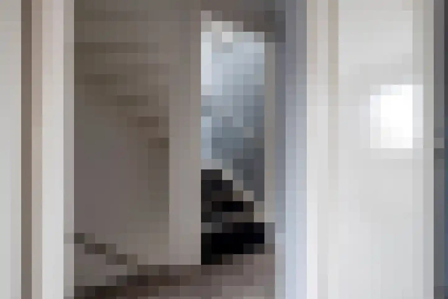 Prins Constantijnstraat 6 Genemuiden thumbnail 34