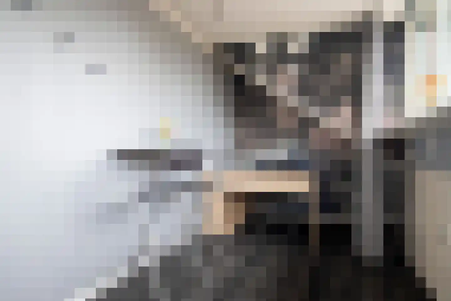Prins Constantijnstraat 6 Genemuiden thumbnail 36